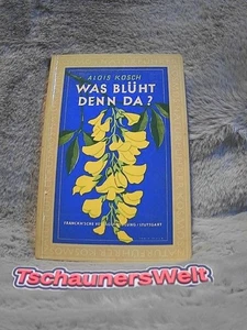 Was blüht denn da? : Tabellen zum Bestimmen von wildwachsenden Blütenpflanzen Mi - Bild 1 von 1