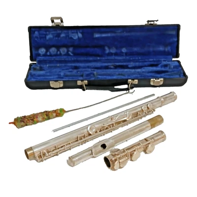 Estuche rígido flauta chapada en plata vintage Communhardt Elkhart Ind M2 D19438 SIN PROBAR Foto 1 de 4