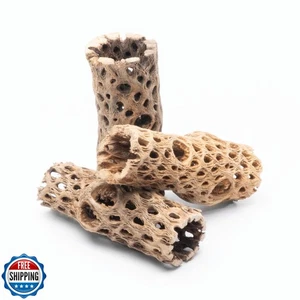 SubstrateSource Natural Cholla Wood - Driftwood per acquari, base per piante aeree - Foto 1 di 5