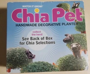 Clown Chia Kopf Handarbeit Deko Übertopf Chia Haustier offene Box Halloweeen Bio - Bild 1 von 6