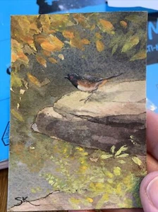 Original Landscape Painting ACEO Art Card - MAKE AN OFFER - Towhee On Rocks - Picture 1 of 4