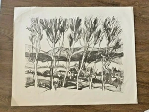 Yolanda Fusco litografia cecoslovacca/americana bianco e nero "Topoli/Benkovce" - Foto 1 di 3