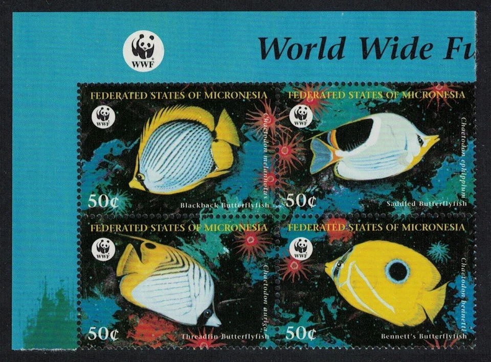 Micronesia WWF Butterflyfishes 4v Block of 4 WWF Logo 1997 MNH SG#579-582 - Image 1 of 1