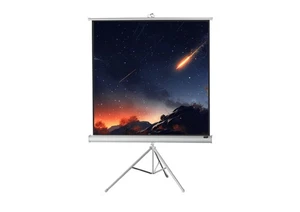 celexon Stativleinwand Economy 244 x 244 cm - White Edition (  Stativ ) - Bild 1 von 3