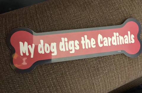 My Dog Digs the Cardinals Bone Shaped Magnet  AZ NFL Football GR8 4 Cars Lockers Cover