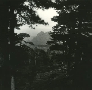 France Corse Bavella Pikes Old Stereo Photo 1920 - Imagen 1 de 3