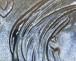 P- Wilma Mankiller Quarter 2022 - Die Chip Error - Imagen 1 de 4