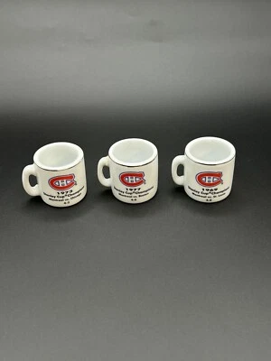 Lote Campeones Copa NHL Crazy Stanley Cup Foto 1 de 2