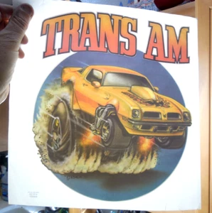Trans Am Muscle Car 1976 Roach Art Iron On Transfer new 70s - Picture 1 of 5