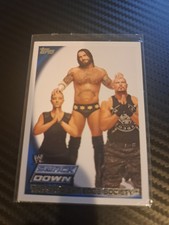 2010 Topps WWE smack Down The Straight Edge Soceity