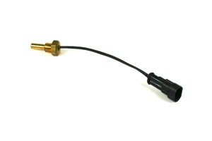 Sensor de temperatura del agua Emer para vaporizador Palladio GLP autogás GLP GLP - Imagen 1 de 2