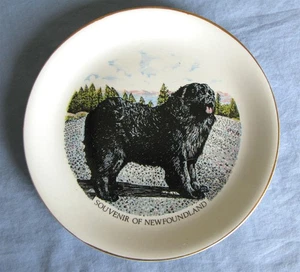 Plato de recuerdo Liverpool Road Pottery Inglaterra Terranova perro negro 6,25" usado en excelente estado - Imagen 1 de 7