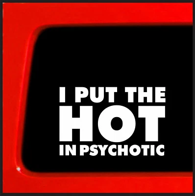 Adesivo Connection Hot Wife on Board adesivo para carro, caminhão, janela - Imagem 1 de 4