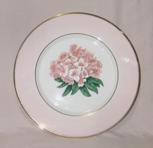 VALLETTA'S ART Deko Teller Roseburg Oregon 71-72 rosa Band 10,5 Washington - Bild 1 von 5