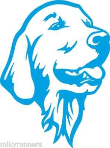 Cane Dog Stikers-Adesivo Prespaziato decorazioni stampe auto moto casa - Foto 1 di 1