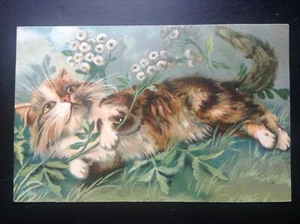 Tres jolie ancienne Carte postale fantaisie chat Maurice Boulanger - Picture 1 of 2