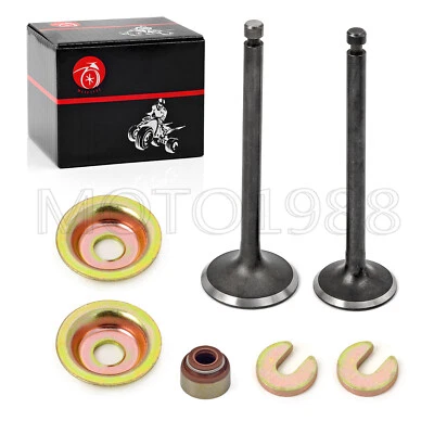 Kit de válvula de escape de admisión para carro de golf Yamaha a gas G2 G5 G8 G9 G11 G14 1989-1996 Foto 1 de 4
