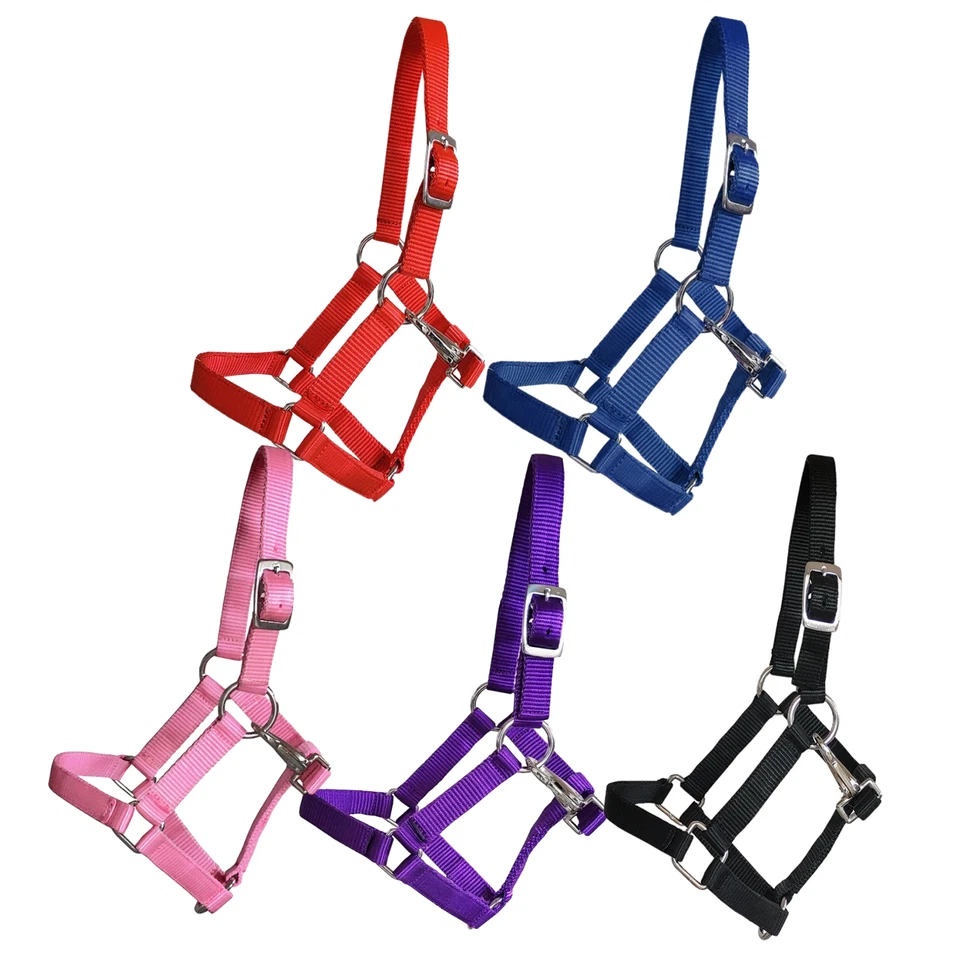 Mini-Ponyfohlenhalfter ~ Mini-Shetty ~ verschiedene Größen/Farben zur Auswahl - Bild 1 von 1