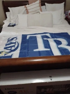 Tampa Bay Rays 3x5 ft Flag Banner New - Picture 1 of 3
