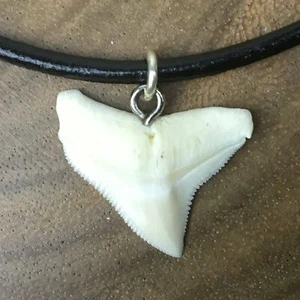 Bull shark man eater shark attack leather c182 - Picture 1 of 2