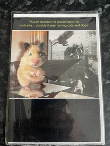 Open Funny Birthday Card Rupert Decided He would Need his Umbrella? - Picture 1 of 2