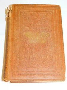 1859 THE LIFE OF NORTH AMERICAN INSECTS Jaeger Illustrations Livingston Willard - Bild 1 von 11
