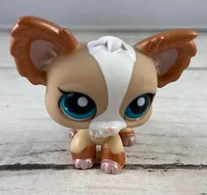 Hasbro Littlest Pet Shop LPS Chihuahua #1082 - Bild 1 von 7