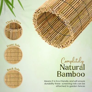 3M Bamboo Peeled Reed Fence Panel Screening Roll Natural Fencing Outdoor Garden - Picture 1 of 18