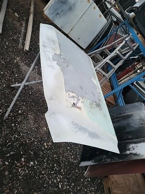 Ford F250 1999-2006 F350 F450 F550 Super Duty capó OEM envío disponible  Foto 1 de 4