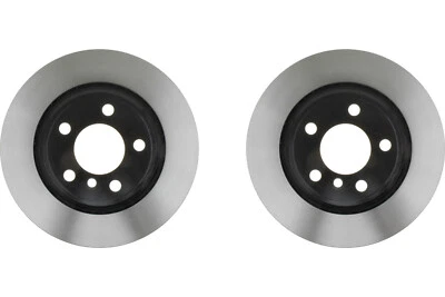 Par de rotores de freno de disco trasero Raybestos para BMW X5 2002-2006 (60281) Foto 1 de 4