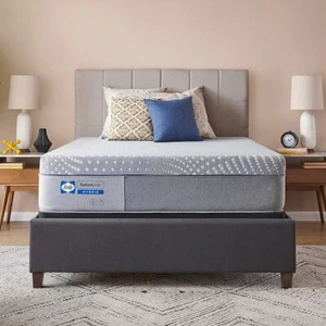 Sealy 13-in Soft Split King Memory Foam Mattress - Picture 1 of 9