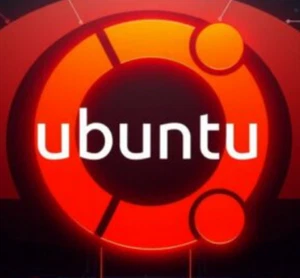 Ubuntu Linux e varianti - Ubuntu Edubuntu Kubuntu Lubuntu Budgie Cinnamon Mate - Foto 1 di 12