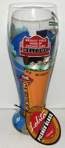 Lolita Designs Pilsner Glass Hand-Painted Gotta Love Beer "Chicago" 22oz - Picture 1 of 5
