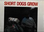 Short Dogs Grow- Matt Dillon US 12" vinyl LP on Rough Trade