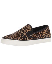 cheetah print sperry topsiders