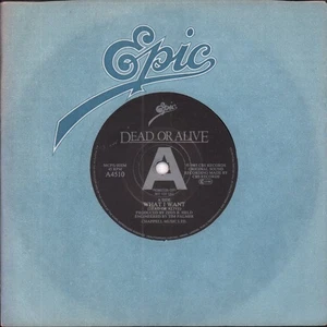 Dead Or Alive What I Want 7" vinyl UK Epic 1983 Promo in company sleeve A4510 - Picture 1 of 2