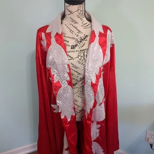 WWE Robe Erwachsene Natur Junge Rick Flair rot silber Kostüm Cosplay Wrestling 4x - Bild 1 von 4