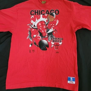 Camiseta de baloncesto Chicago Bulls XL vintage nuez moscada - Imagen 1 de 10