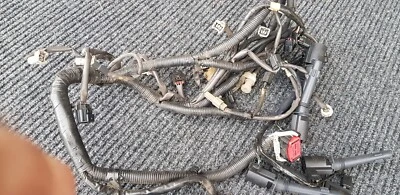 Arnés de cableado del motor Ford Falcon BA 4.0Lt + bobinas trajes BTR automático, Barra, BA, BF Foto 1 de 4