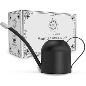 Small Watering Can for Indoor Plants - Mini Watering Can - Black Watering Can - Picture 1 of 7