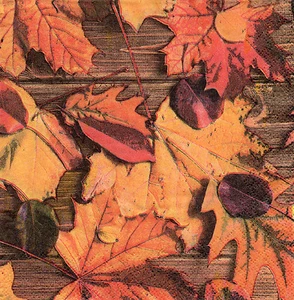 4 Servietten Motivservietten Serviettentechnik Herbst Herbstblätter (1345) - Bild 1 von 1