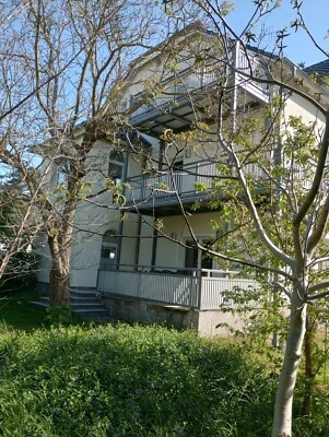 Strandurlaub auch mit Fellnase  - Bild 1 von 4