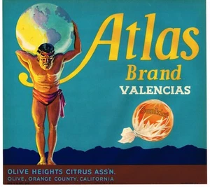 ORIGINAL ORANGE COUNTY KISTENETIKETT VINTAGE OLIV SELTEN ATLAS UM 1940 GRIECHISCHER GOTT B - Bild 1 von 1
