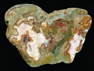 Achat/Agate von Achern-Kieswerk (sekundär) bzw Lierbachtal (primär ) -TOP !!! - Bild 1 von 1