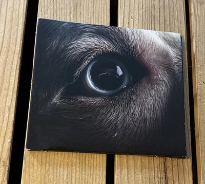 The Dark Side of the Moon Redux by Waters, Roger (CD, 2023) Foto 1 de 4