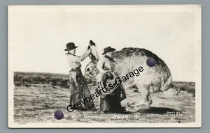 RPPC Earin Him Down Cowboys Rabbit Exaggeration Conard 68 Real Photo Postcard - Picture 1 of 2