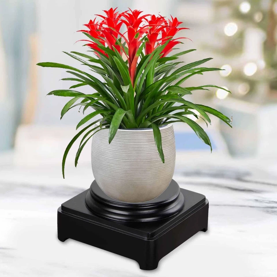 Wooden Base Round Solid Wood Display Stand for Flower Pot Aquarium Teapot - Image 1 of 1