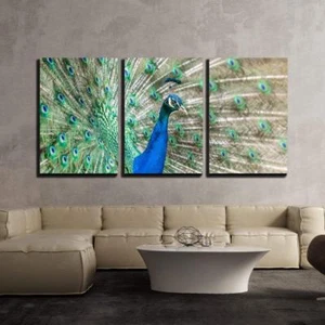 Wall26 - Peacock with Feathers Out - Canvas Art Wall Decor - 16"x24"x3 Panels - Picture 1 of 3