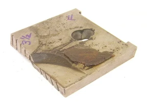 RESHARPENED WAUKESHA SERIES "F" FLAT BOTTOM SPADE BLADE 3-1/2" (3.500") - Picture 1 of 4