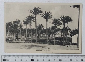 I121302 Cartolina - Libia - Bengasi - Palmeto - Picture 1 of 2